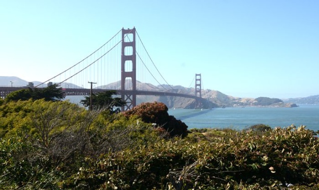 1592180446138902.jpg ͼƬ17.jpg