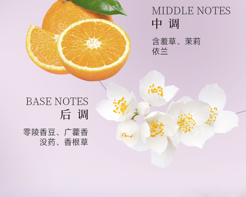 1714103555723519.jpg 1714103555723519.jpg